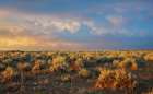 Sunrise over the sage brush landscape of Colorados sand Wash Basin Art Print